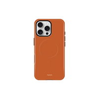 DualMag Pantone #iPhone 16 Pro Max